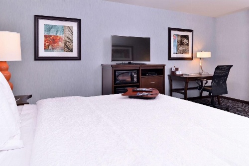 Hampton Inn By Hilton Potsdam image 4
